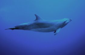 Kopie von IMG_6101.JPG