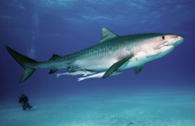 Kopie von IMG_4489.JPG