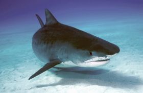 Kopie von Kopie von IMG_4477 (1).JPG