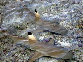 Kopie von P1000574.JPG