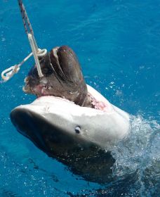 Kopie von P1000321.JPG